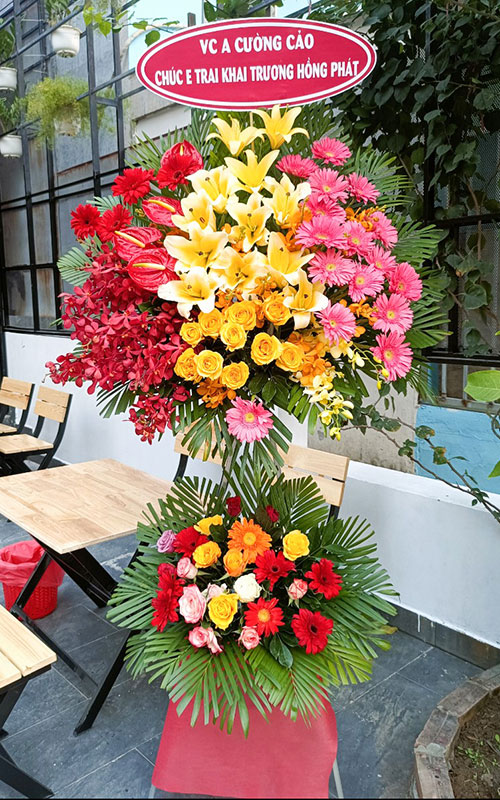 hoa khai truong